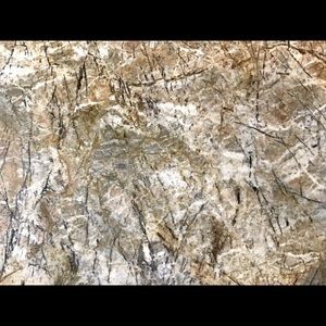 Meet your Posher, Anne